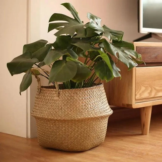 🌿 Woven Seagrass Basket